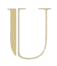 Unzila Salon
